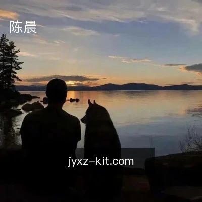 陈晨