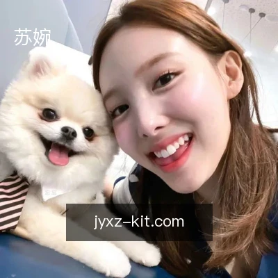 苏婉